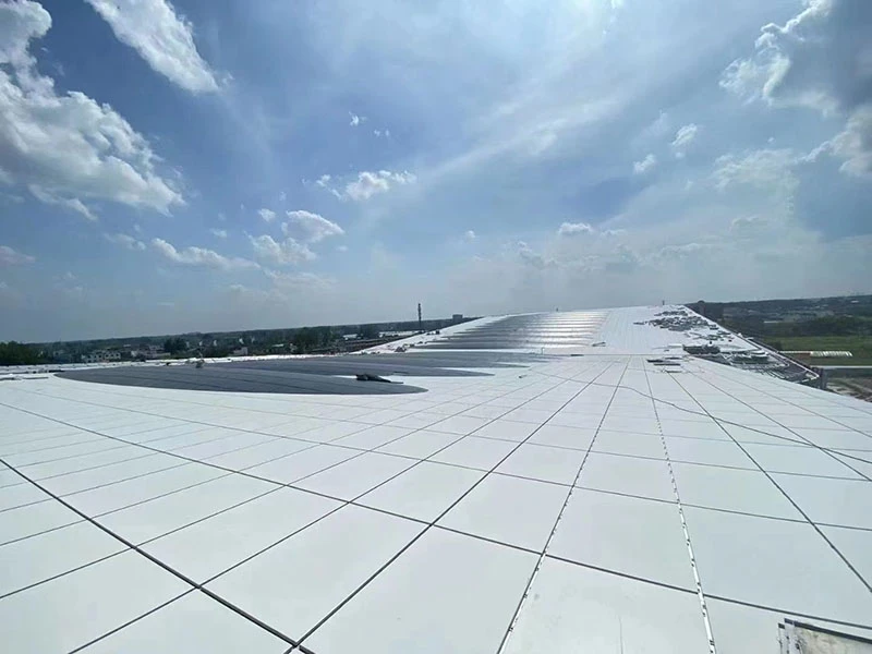 阜阳师范大学 (1).jpg